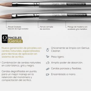 PINCEL GENIUS # 6